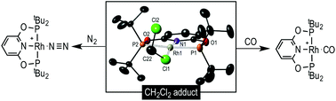 Graphical abstract: A CH2Cl2 complex of a [Rh(pincer)]+ cation