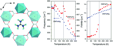 Graphical abstract: Temperature-dependent studies of [(CH3)2NH2][FeIIIMII(HCOO)6] frameworks (MII = Fe and Mg): structural, magnetic, dielectric and phonon properties