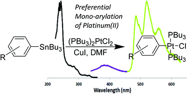 Graphical abstract: Platinum carbon bond formation via Cu(i) catalyzed Stille-type transmetallation: reaction scope and spectroscopic study of platinum-arylene complexes