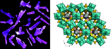 Graphical abstract: A novel cobalt sodium phosphate hydroxide with the ellenbergerite topology: crystal structure and physical properties