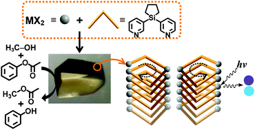 Graphical abstract: Construction of helical coordination polymers via flexible conformers of bis(3-pyridyl)cyclotetramethylenesilane: metal(ii) and halogen effects on luminescence, thermolysis and catalysis
