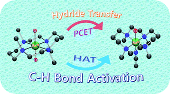 Graphical abstract: Mechanistic insights into the reactions of hydride transfer versus hydrogen atom transfer by a trans-dioxoruthenium(vi) complex