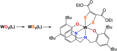 Graphical abstract: Aminobisphenolate supported tungsten disulphido and dithiolene complexes