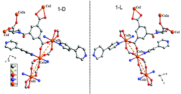 Graphical abstract: Integration of a semi-rigid proline ligand and 4,4′-bipyridine in the synthesis of homochiral metal–organic frameworks with helices
