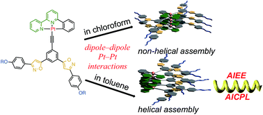 Graphical abstract: Novel helical assembly of a Pt(ii) phenylbipyridine complex directed by metal–metal interaction and aggregation-induced circularly polarized emission