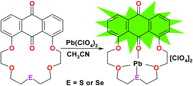 Graphical abstract: Improved selectivity for Pb(ii) by sulfur, selenium and tellurium analogues of 1,8-anthraquinone-18-crown-5: synthesis, spectroscopy, X-ray crystallography and computational studies