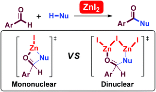 Graphical abstract: Dinuclear versus mononuclear pathways in zinc mediated nucleophilic addition: a combined experimental and DFT study