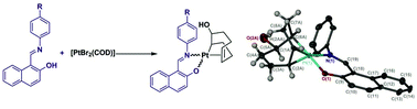 Graphical abstract: Synthesis of a series of new platinum organometallic complexes derived from bidentate Schiff-base ligands and their catalytic activity in the hydrosilylation and dehydrosilylation of styrene