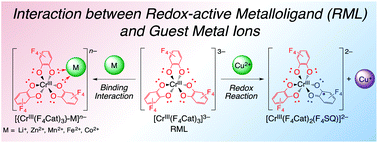 Graphical abstract: Interactions between the trianionic ligand-centred redox-active metalloligand [CrIII(perfluorocatecholato)3]3− and guest metal ions