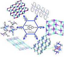 Graphical abstract: Biphenyl-2,4,6,3′,5′-pentacarboxylic acid as a tecton for six new Co(ii) coordination polymers: pH and N-donor ligand-dependent assemblies, structure diversities and magnetic properties