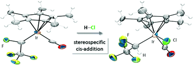 Graphical abstract: Synthesis, structure, and reactivity of iridium perfluorocarbene complexes: regio- and stereo-specific addition of HCl across a metal carbon double bond