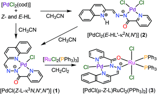 Graphical abstract: Palladium(ii) mononuclear and palladium(ii)/ruthenium(ii) heterodinuclear complexes containing 2-quinolyl-substituted (pyridine-2-carbonyl)hydrazone