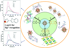 Graphical abstract: Three new POM-based compounds constructed by rigid thiabendazole and flexible bis(pyrazole) ligands: structures and properties for Hg2+ recognition