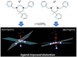 Graphical abstract: Controlled ligand distortion and its consequences for structure, symmetry, conformation and spin-state preferences of iron(ii) complexes