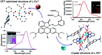 Graphical abstract: A dual functional probe for “turn-on” fluorescence response of Pb2+ and colorimetric detection of Cu2+ based on a rhodamine derivative in aqueous media