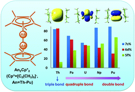 Graphical abstract: Actinide (An = Th–Pu) dimetallocenes: promising candidates for metal–metal multiple bonds