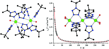 Graphical abstract: Copper(ii) tetrafluoroborate complexes with the N3,N4-bridging coordination of 1-(tert-butyl)-1H-tetrazole: synthesis, crystal structure and magnetic properties