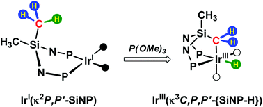 Graphical abstract: Intramolecular C–H oxidative addition to iridium(i) triggered by trimethyl phosphite in N,N′-diphosphanesilanediamine complexes