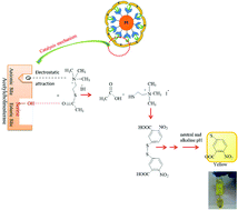 Graphical abstract: Immobilization of acetylcholinesterase on Pt(ii) and Pt(iv) attached nanoparticles for the determination of pesticides