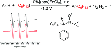 Graphical abstract: Iron-catalyzed electrochemical C–H perfluoroalkylation of arenes