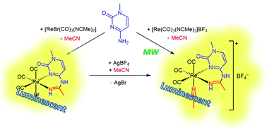 Graphical abstract: Amidino ligands obtained from the coupling of 1-methylcytosine and nitrile: a new method to incorporate biomolecules into luminescent Re(CO)3 complexes