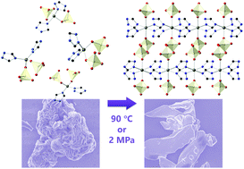 Graphical abstract: Freeze-drying synthesis of an amorphous Zn2+ complex and its transformation to a 2-D coordination framework in the solid state