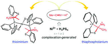 Graphical abstract: Thioiminium and thiaphospholanium derived from acetonitrile via nickel(ii)–(2-mercaptophenyl)phosphine complexation