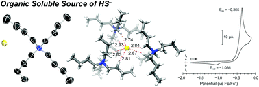 Graphical abstract: NBu4SH provides a convenient source of HS− soluble in organic solution for H2S and anion-binding research