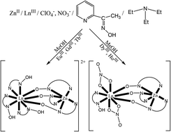 Graphical abstract: Dinuclear lanthanide(iii)/zinc(ii) complexes with methyl 2-pyridyl ketone oxime