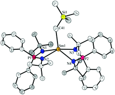 Graphical abstract: Simple entry into N-tert-butyl-iminophosphonamide rare-earth metal alkyl and chlorido complexes