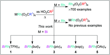 Graphical abstract: Expanding the family of heterobimetallic Bi–Rh paddlewheel carboxylate complexes via equatorial carboxylate exchange