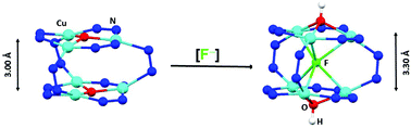 Graphical abstract: A trigonal prismatic Cu6-pyrazolato complex containing a μ6-F ligand