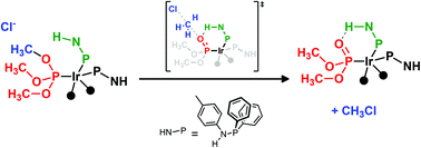 Graphical abstract: En route to phosphonato iridium(i) complexes: the decisive effect of an intramolecular hydrogen bond
