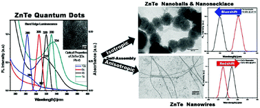 Graphical abstract: Water-soluble, luminescent ZnTe quantum dots: supersaturation-controlled synthesis and self-assembly into nanoballs, nanonecklaces and nanowires