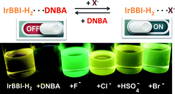 Graphical abstract: A supramolecular H-bond driven light switch sensor for small anions