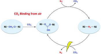 Graphical abstract: Bimetallic nickel complexes for selective CO2 carbon capture and sequestration
