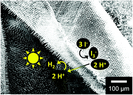 Graphical abstract: Unassisted solar-driven photoelectrosynthetic HI splitting using membrane-embedded Si microwire arrays