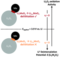 Graphical abstract: Solid-state activation of Li2O2 oxidation kinetics and implications for Li–O2 batteries