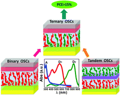 Graphical abstract: Versatile ternary organic solar cells: a critical review