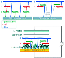 Graphical abstract: A soft, multilayered lithium–electrolyte interface