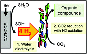 Graphical abstract: Importance of the hydrogen route in up-scaling electrosynthesis for microbial CO2 reduction