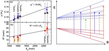 Graphical abstract: Determination of the exciton binding energy and effective masses for methylammonium and formamidinium lead tri-halide perovskite semiconductors