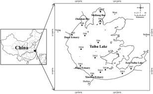 Graphical abstract: The potential effects of phytoplankton on the occurrence of organochlorine pesticides (OCPs) and polycyclic aromatic hydrocarbons (PAHs) in water from Lake Taihu, China