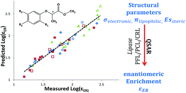 Graphical abstract: Quantitative structure–activity relationship correlation between molecular structure and the Rayleigh enantiomeric enrichment factor