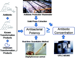 Graphical abstract: Evaluation of residual antibacterial potency in antibiotic production wastewater using a real-time quantitative method