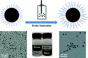 Graphical abstract: Surface engineering superparamagnetic nanoparticles for aqueous applications: design and characterization of tailored organic bilayers