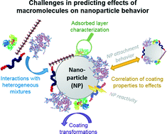 Graphical abstract: Critical review: impacts of macromolecular coatings on critical physicochemical processes controlling environmental fate of nanomaterials