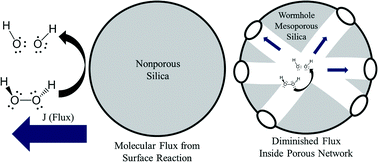 Graphical abstract: Silica nanoparticle-generated ROS as a predictor of cellular toxicity: mechanistic insights and safety by design
