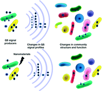 Graphical abstract: Impacts of nanomaterials on bacterial quorum sensing: differential effects on different signals
