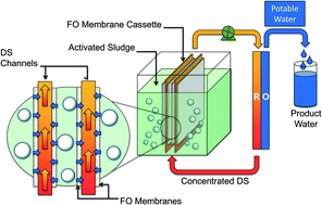 Graphical abstract: The osmotic membrane bioreactor: a critical review